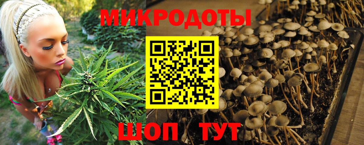 Хабаровск  Псилоцибиновые грибы Psilocybe  Галлюциногенные грибы Psilocybe  Вход с VPN 